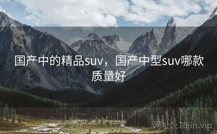 国产中的精品suv，国产中型suv哪款质量好