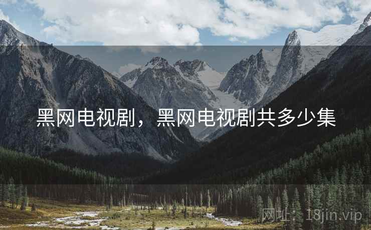 黑网电视剧，黑网电视剧共多少集