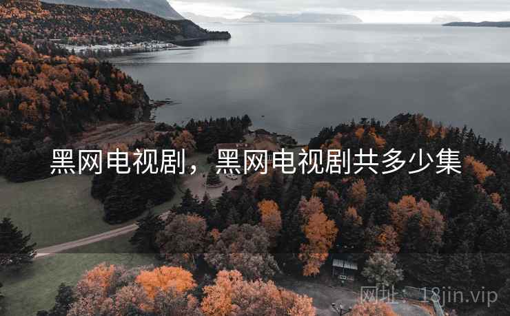 黑网电视剧，黑网电视剧共多少集