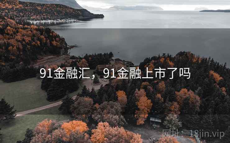 91金融汇，91金融上市了吗